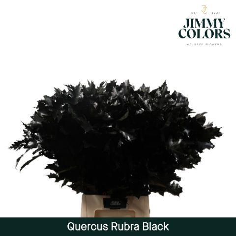 <h4>Quercus Rubra L80 Black</h4>