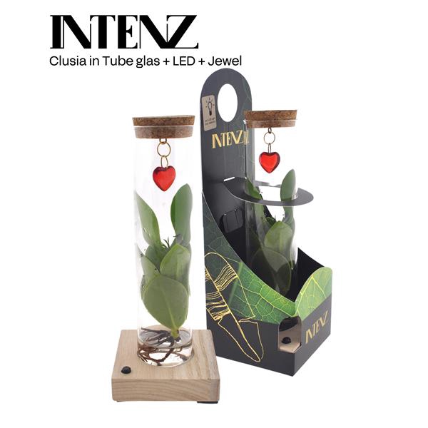 <h4>Mix in Tube glas + LED + verpakking + Jewel (hartje)</h4>