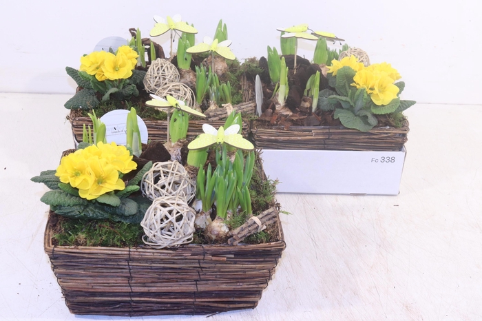 <h4>ARR TUINPLANTEN</h4>