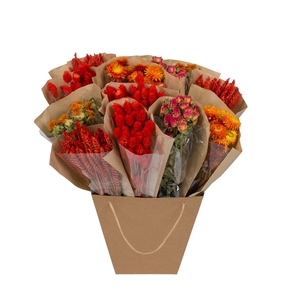 Droogbloemen-Dried Mono Mix 50cm-Orange