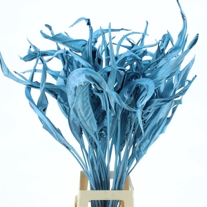 Dried Strelitzia Leafs Klb Metallic Blue