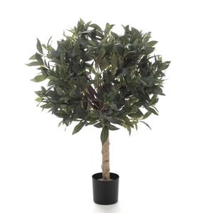 AF Laurus Nobilis Ball Pot H80