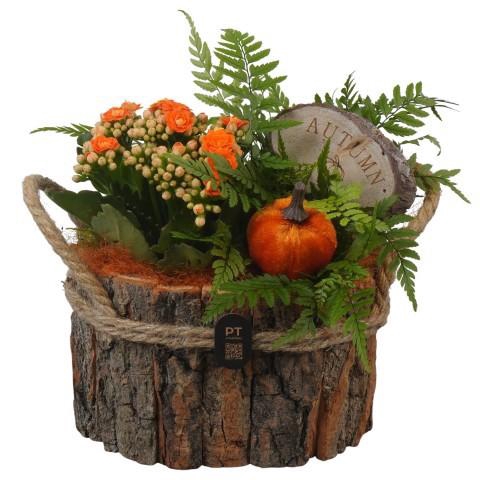 <h4>PTHI3334 Arrangement Autumn Indoor in houten bak</h4>