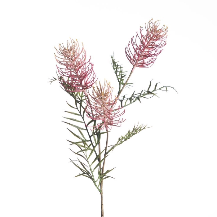 <h4>AF Grevillea Spray L82cm Pink</h4>