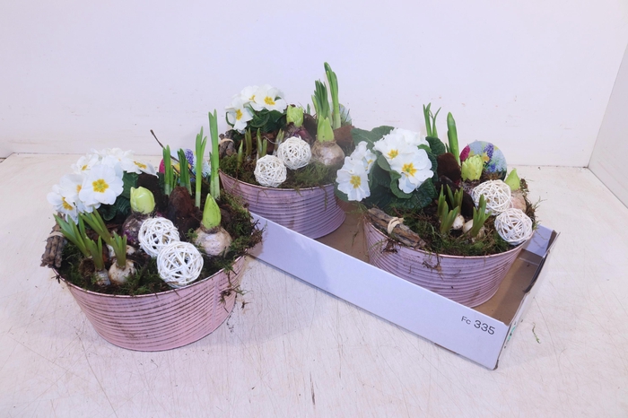 <h4>ARR TUINPLANTEN</h4>