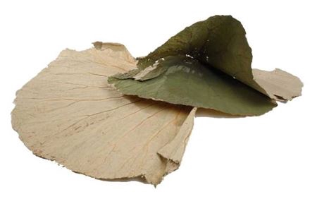 <h4>Leaf Lotus Small 10pc 45cm</h4>