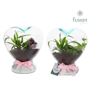 Green Bottle Glazen Hart helder met Groen panten