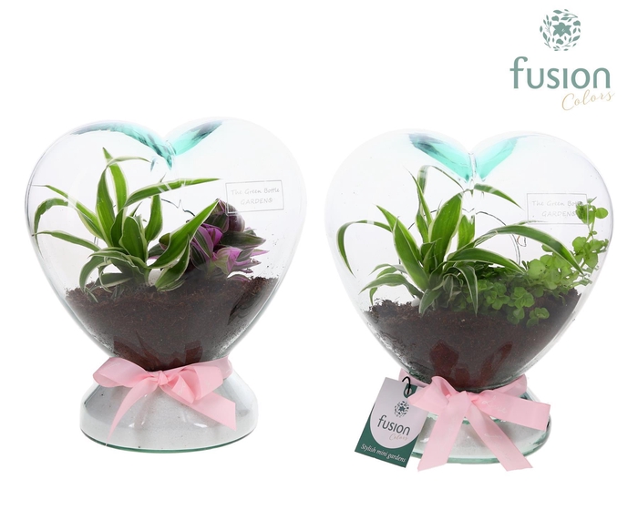 <h4>Green Bottle Glazen Hart helder met Groen panten</h4>