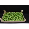 F -appels Groen Klein X 5kg