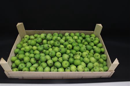 F -appels Groen Klein X 5kg