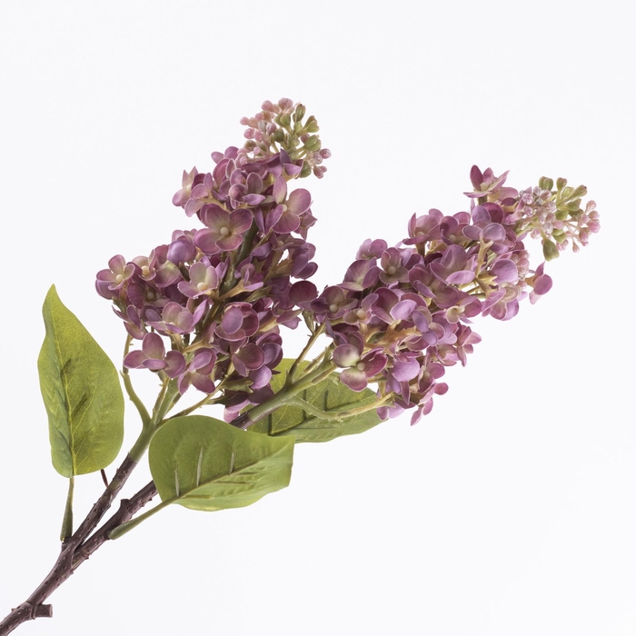 Syringa Spray Mauve FL440368MAU