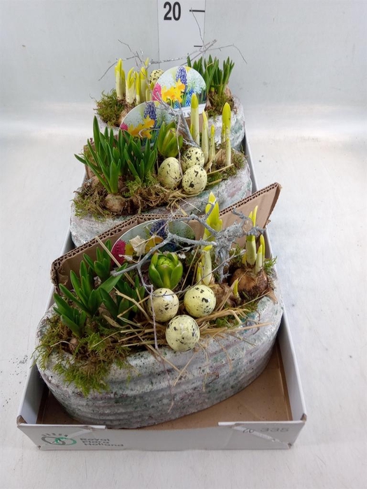 <h4>Arr.   Bol/Knolgewas L%</h4>