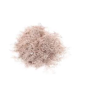 Koraalvaren Champagne Glitter Black Friday Deals