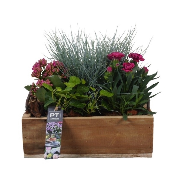 <h4>PTSO8322 Arrangement Summer Outdoor in houten bak</h4>
