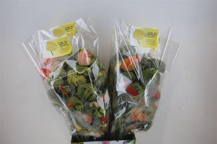 <h4>Papaver Mixed Sup Sup P Stem</h4>