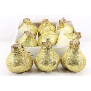 arr4 Amaryllis CM - Wax glitter goud