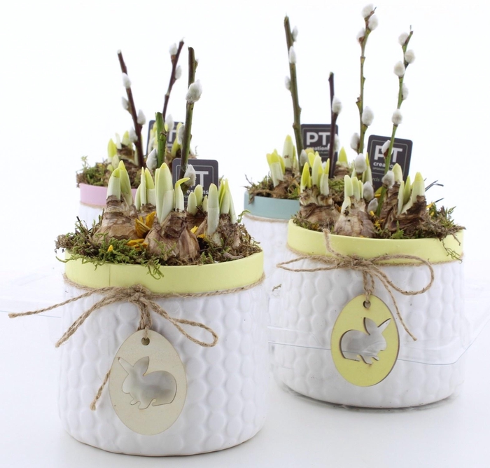 <h4>ARR N TETE A TETE</h4>