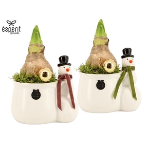Arrangementen Kerst 6%
