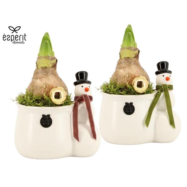 <h4>Arrangementen Kerst 6%</h4>