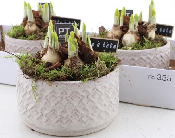 <h4>ARR N TETE A TETE</h4>