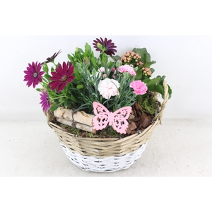 arr4 Outdoor MB - Mand duo x2