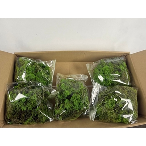 MOSS ICELANDIC 500GR LIGHT GREEN