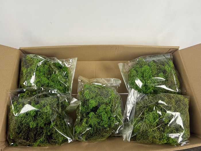 <h4>MOSS ICELANDIC 500GR LIGHT GREEN</h4>