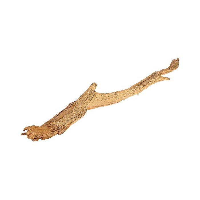 <h4>Branch Ghostwood Extra L100</h4>