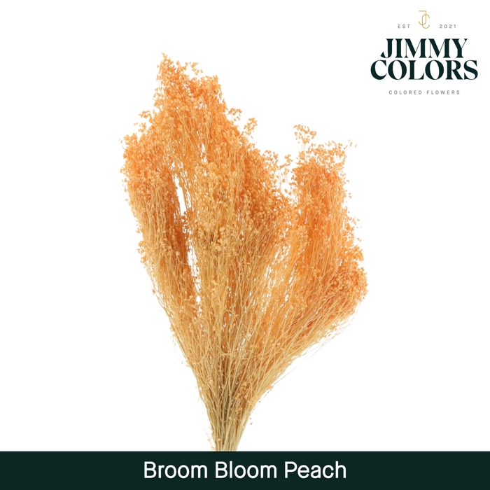 Broom bloom Peach