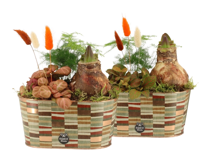 <h4>41581: Treasure time arrangement</h4>