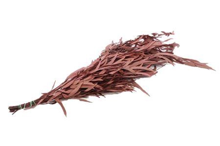 Bunch Euca Nicoly Pres. 150g L65