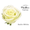 R GR BABY SATIN WHITE R50 x20