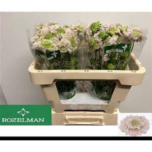 SCAB AT F VA B SCOOP