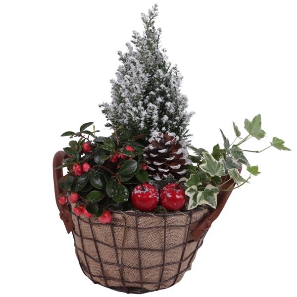 <h4>Winter Arr. Outdoor Metal Wire basket Jute Ø21cm 3PP</h4>