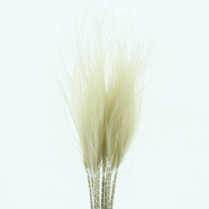 <h4>DROOGBL BEWERKT H%</h4>