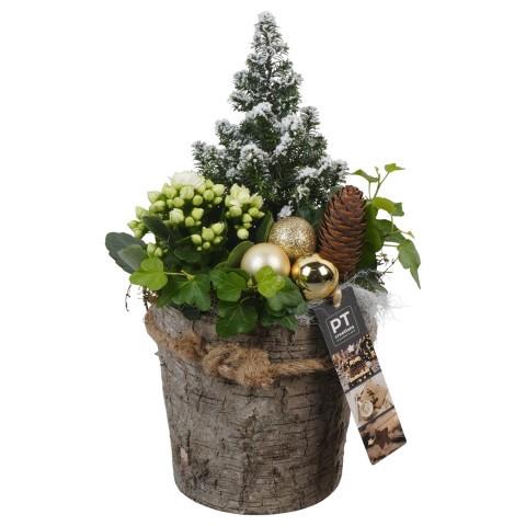 <h4>PTCHG5674 Arrangement Christmas Gold in houten pot</h4>