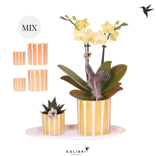 <h4>Kolibri Gift Set small Easter</h4>