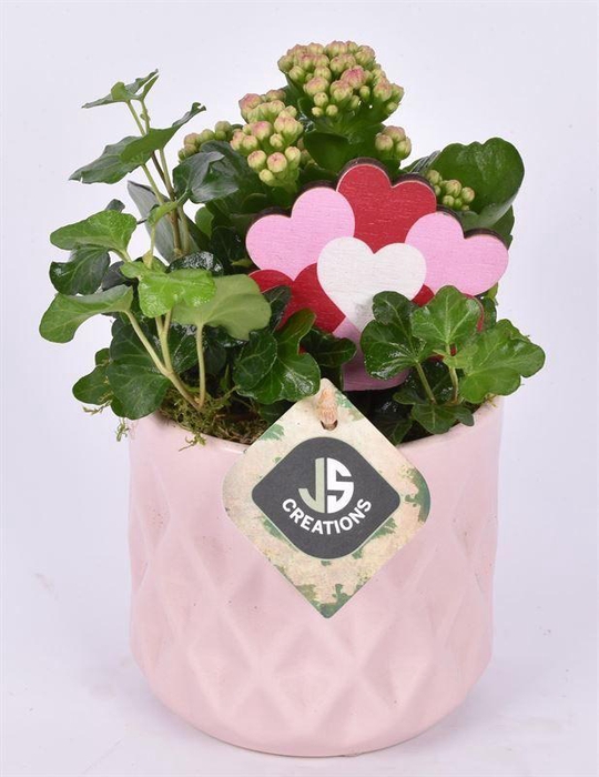 <h4>Keramiek ruit pot roze 10,5cm</h4>