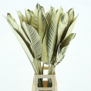 Strelit Blad Platina