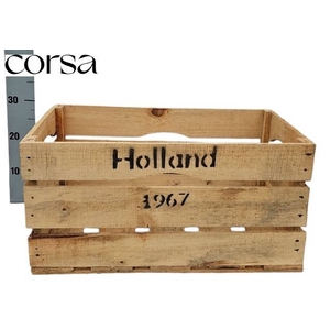 HUIS EN TUINDECO H%