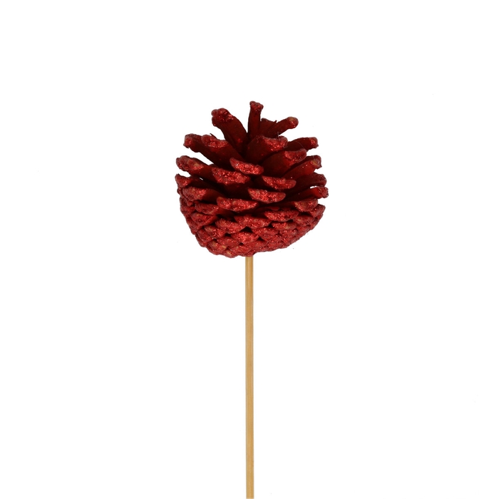 <h4>Kerst bijsteker 50cm Dennenappel 6cm</h4>