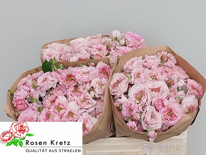 <h4>R TR RESIDENCE!</h4>