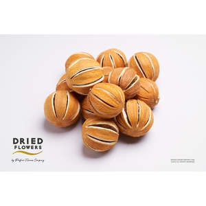 Dried deco Whole Oranges