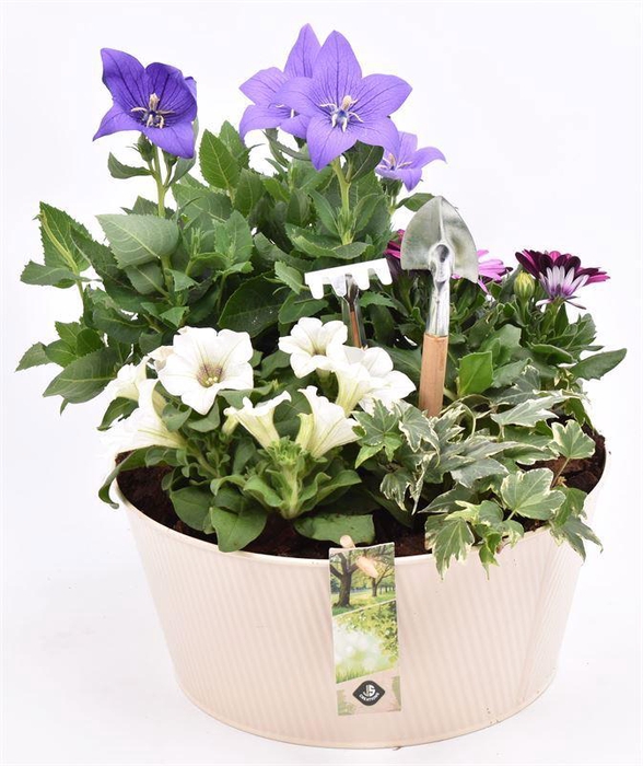 <h4>Zink schaal ribbel creme 25cm</h4>