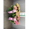 HYDR MAGICAL EVOLUTION ROZE