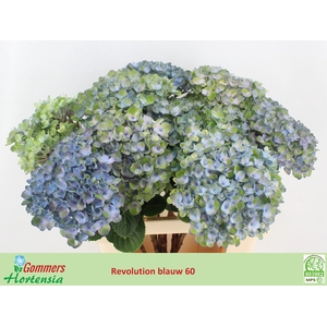 HYDR M MAG REVOLU BL