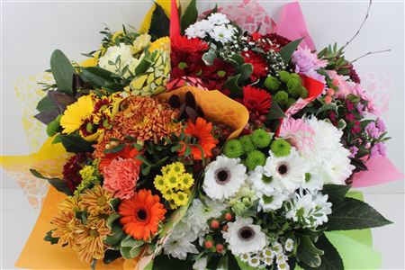 <h4>Boeket Germini Mix (5 Kleuren)</h4>