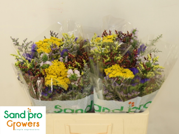 <h4>GEM ZOMERBOEKET</h4>