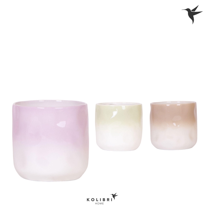 <h4>Kolibri Home Gradience pot mix</h4>