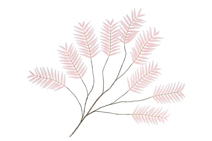 <h4>Silk Palm Leaf Light Pink 150cm Nm</h4>